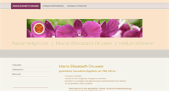 Desktop Screenshot of druxeis-naturheilpraxis.de